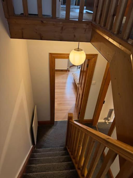 Stylish, Spacious And Central 4 Bedroom House Belfast Ngoại thất bức ảnh